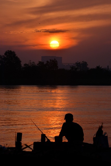 special educational needs support